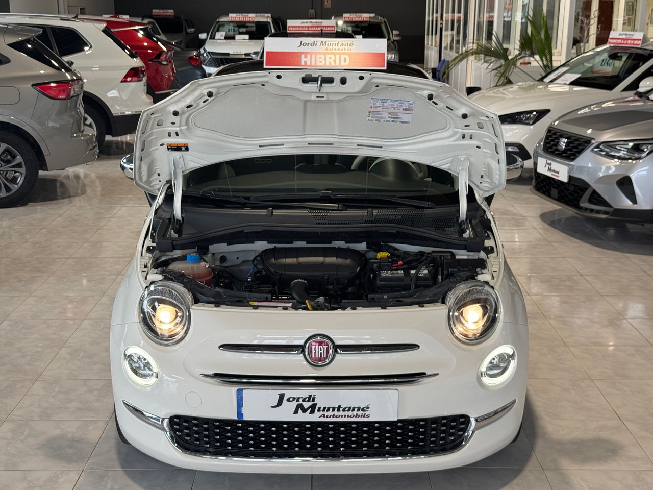 Foto Fiat 500 26