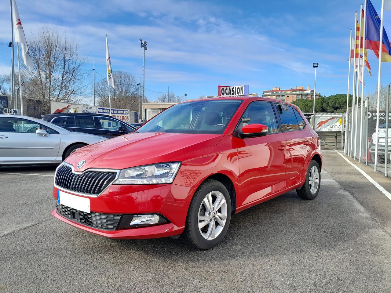 Foto Skoda Fabia 16