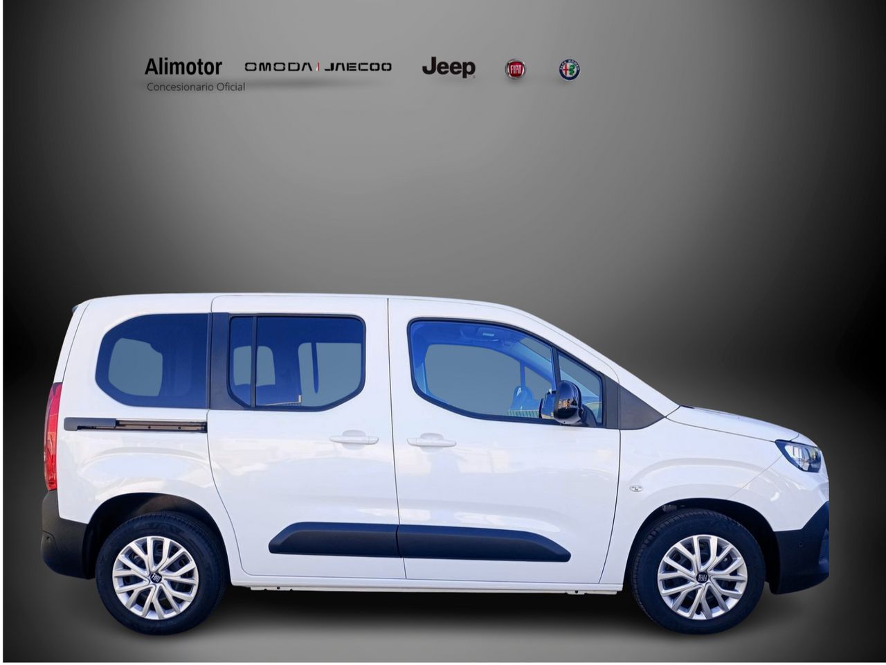 Foto Fiat Doblo 5