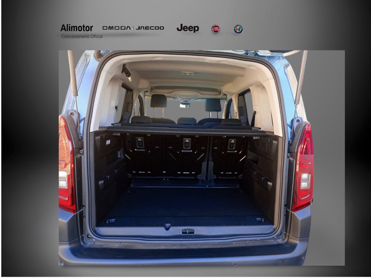 Foto Fiat Doblo 12