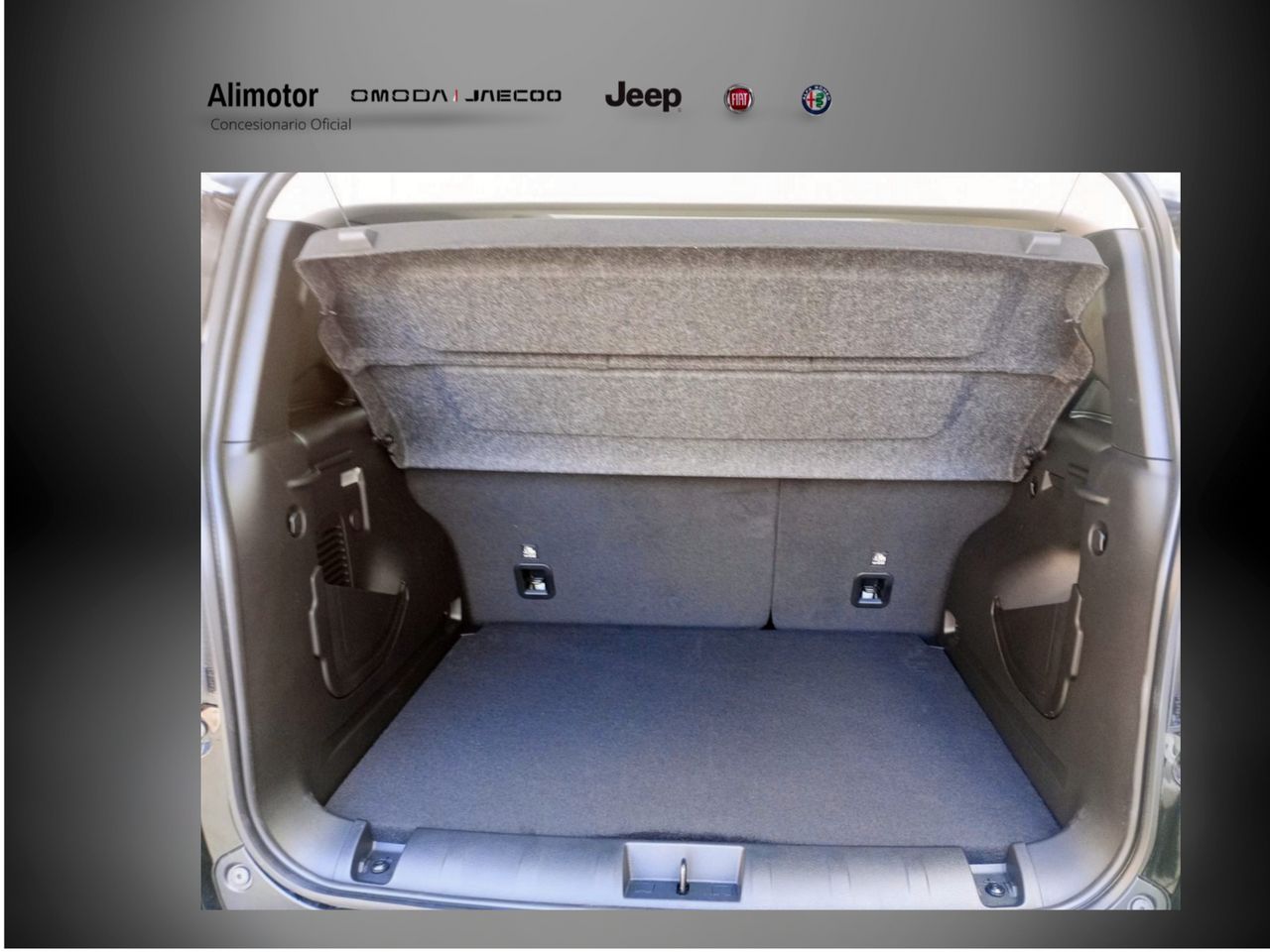 Foto Jeep Renegade 4