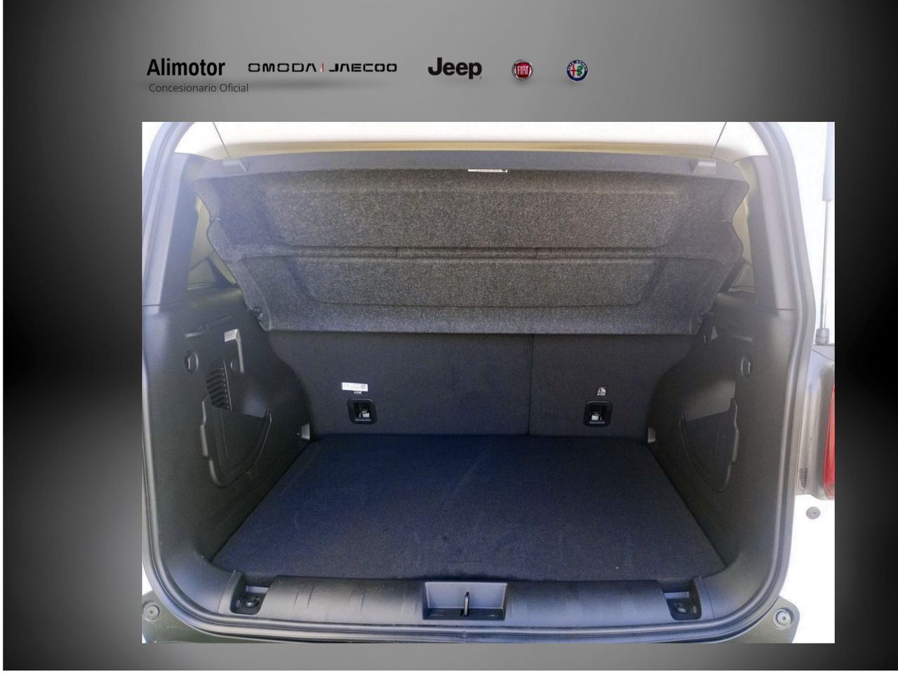 Foto Jeep Renegade 4