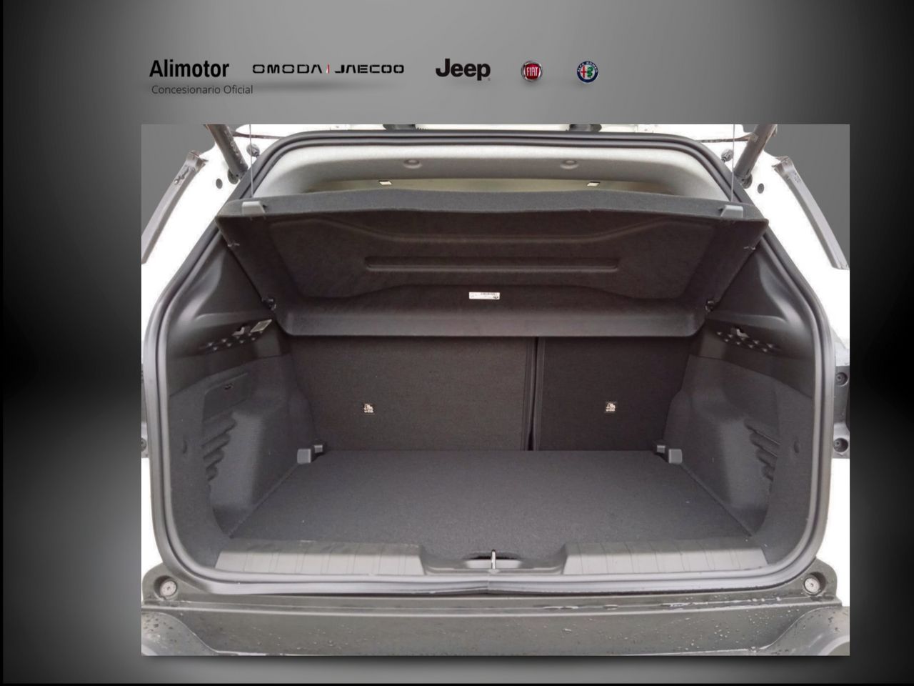 Foto Jeep Renegade 12