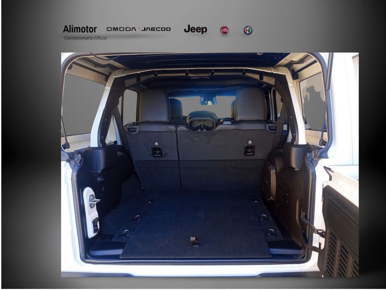 Foto Jeep Wrangler 12