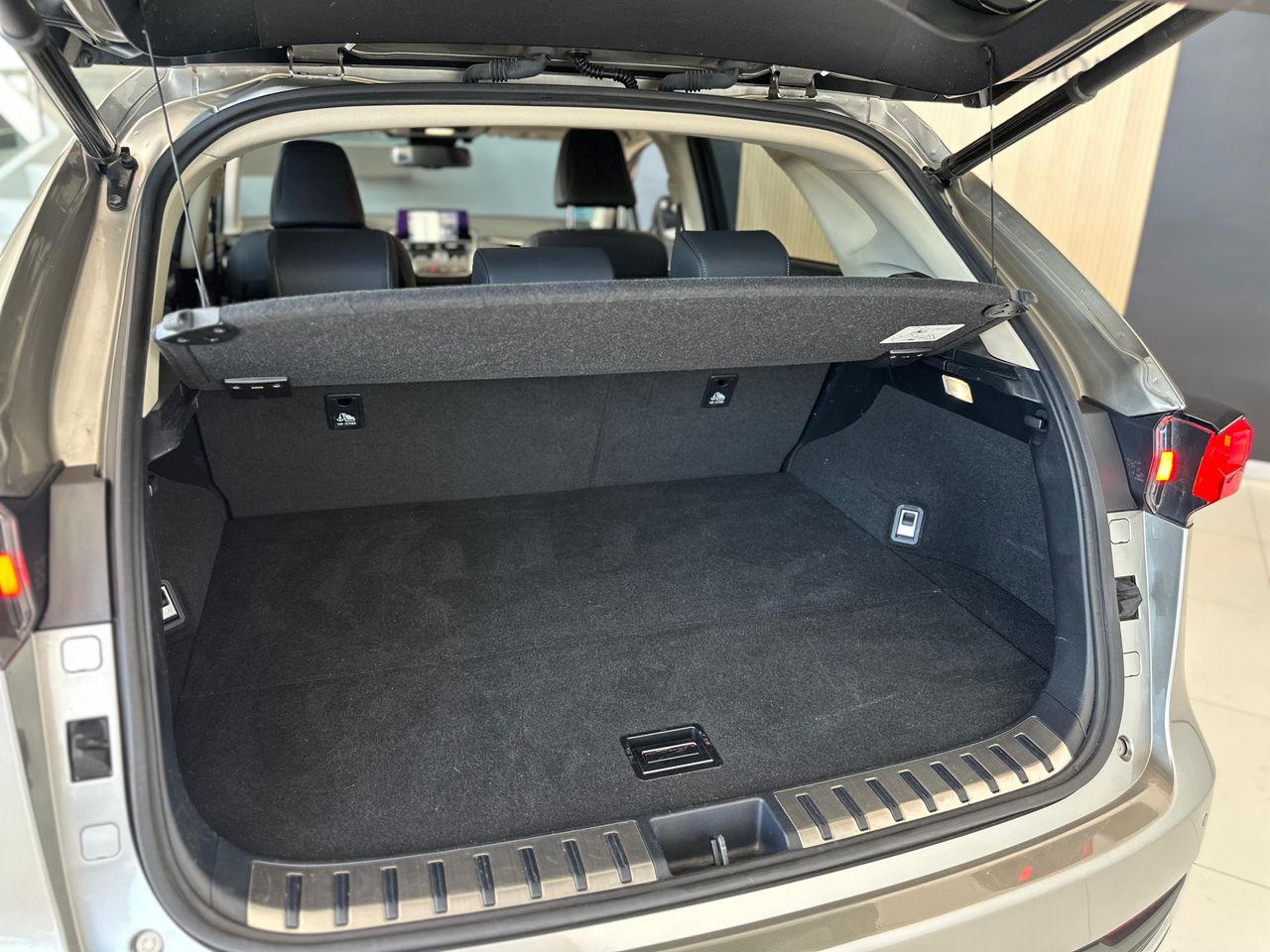 Foto Lexus NX 10