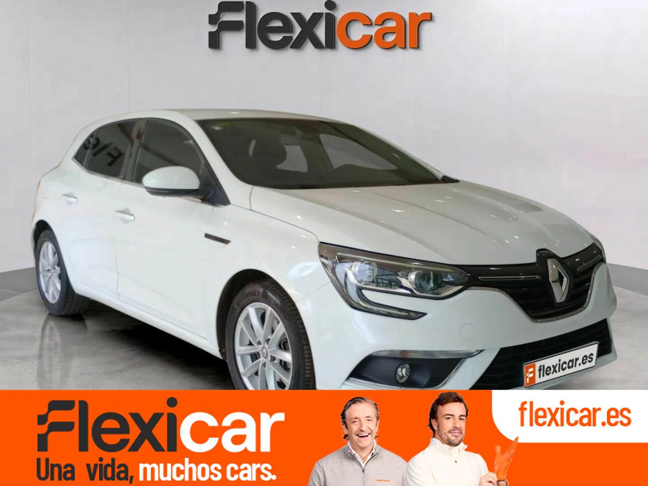 Foto Renault Mégane 1