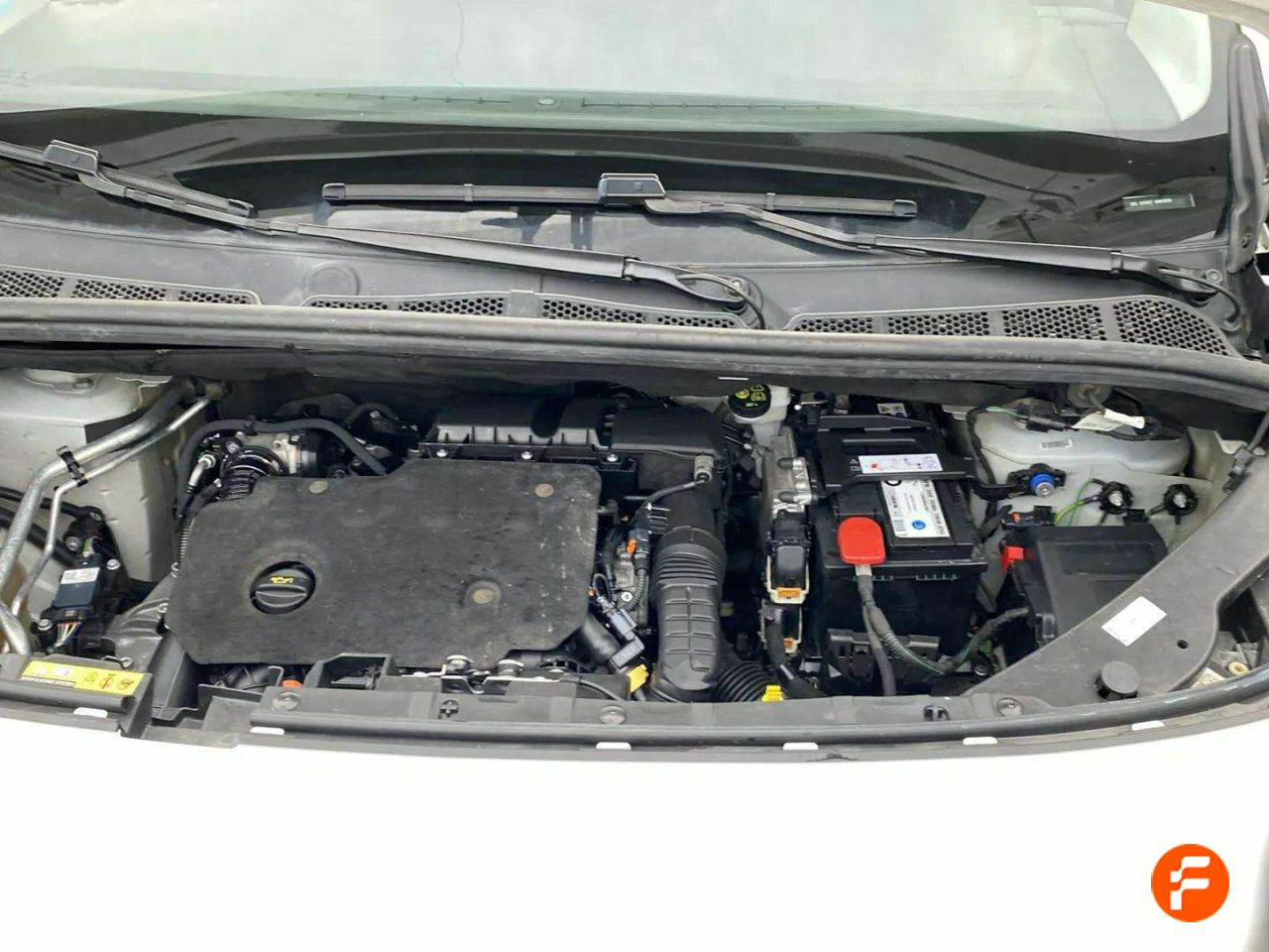 Foto Peugeot Rifter 19
