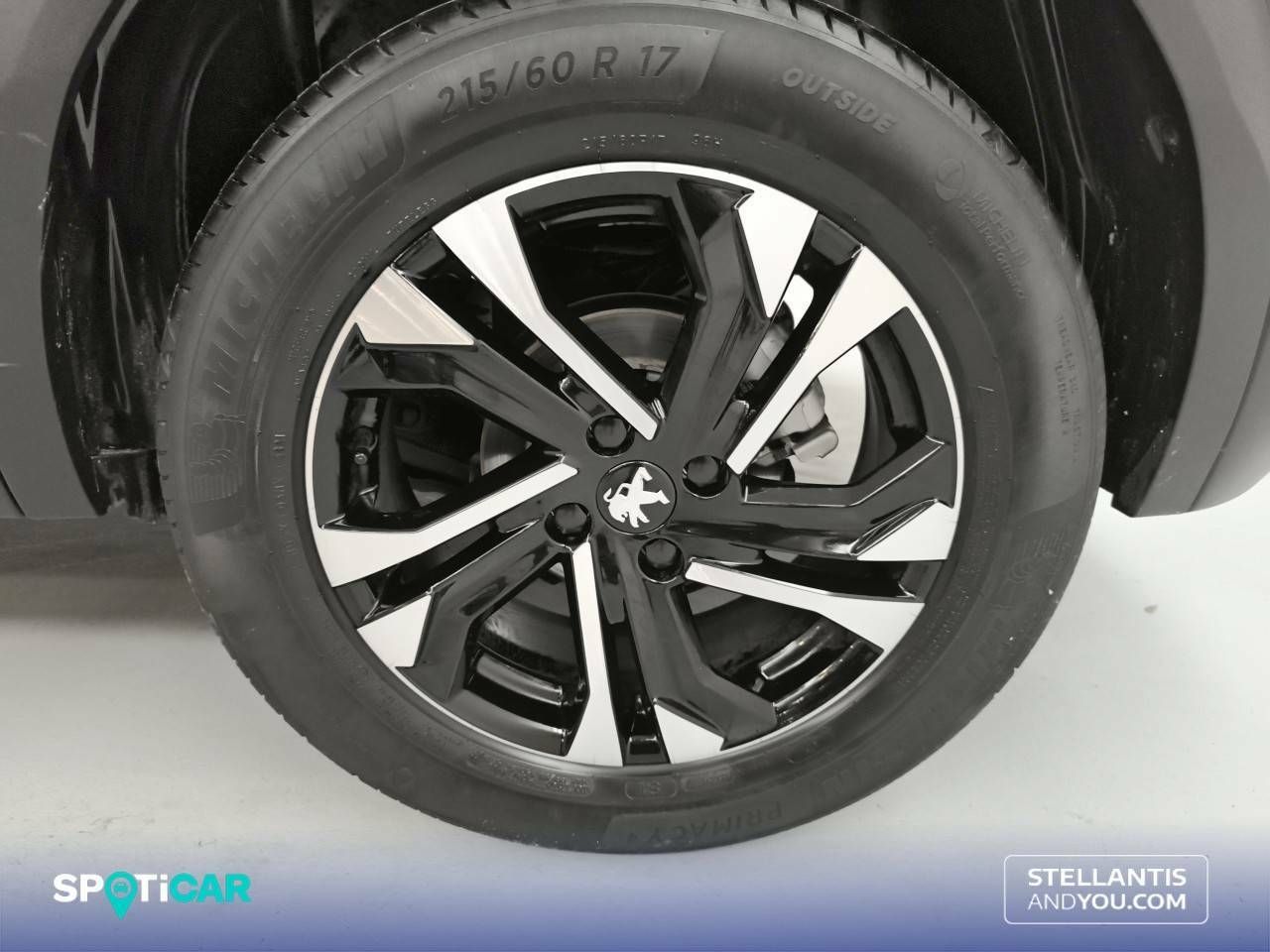 Foto Peugeot 2008 11